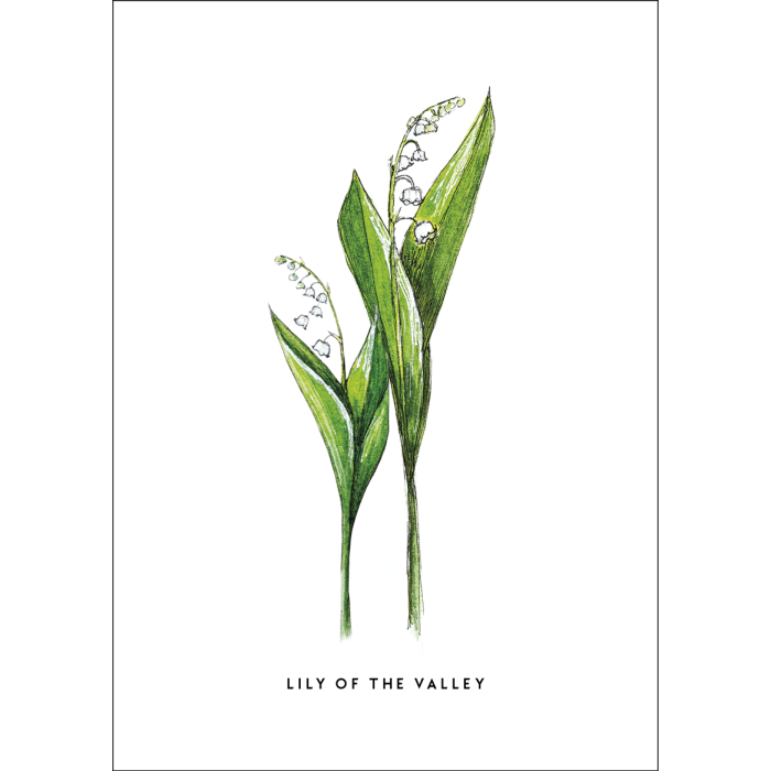 Postcard Flower Lily of the valley - 10 pieces
